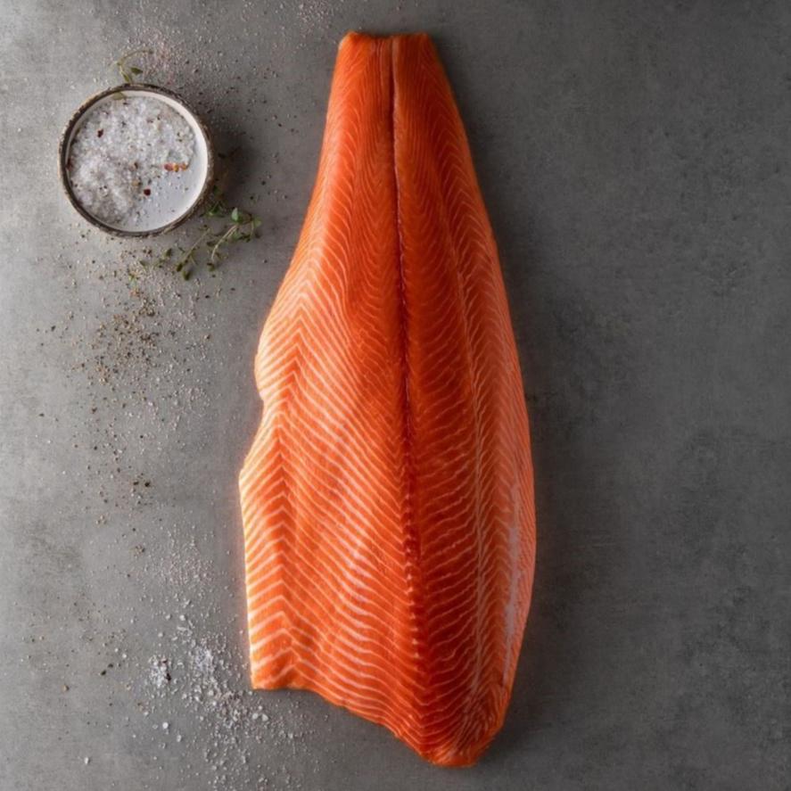 Premium salmon fillet